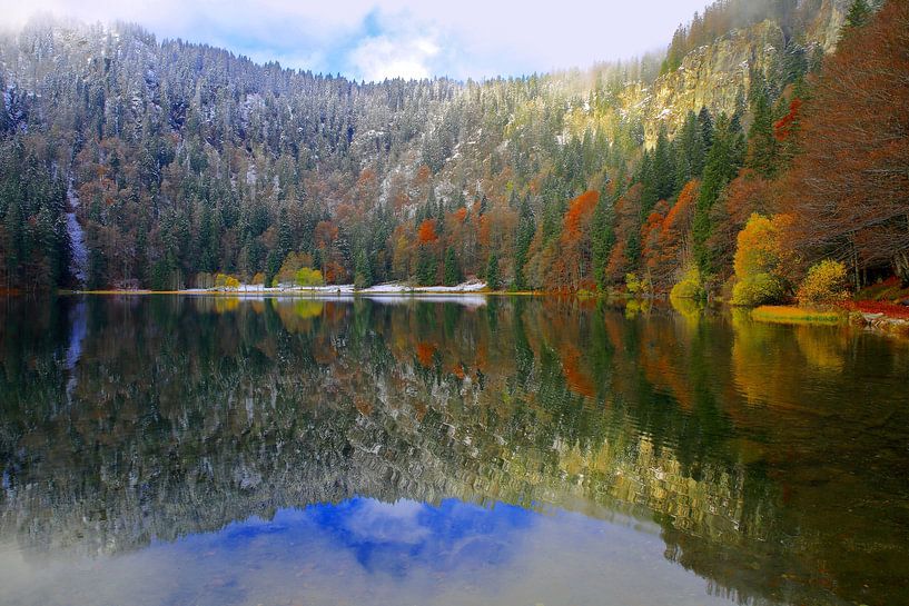 Feldsee Schwarzwald von Patrick Lohmüller