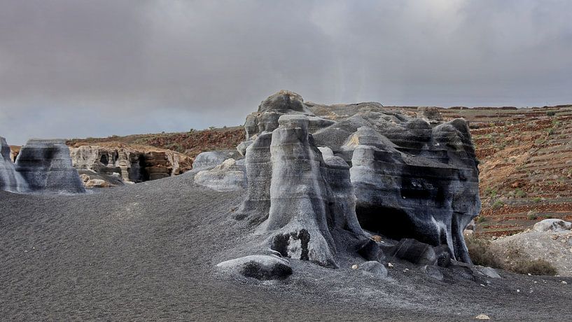 Antigua Rofera von Henk Langerak