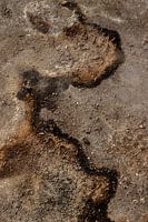 jeu de lignes art photographique abstrait