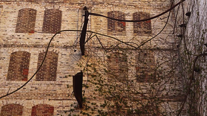 Ruine des Speichers des Mühlenkomplexes Böllberg in Halle in Deutschland von Babetts Bildergalerie