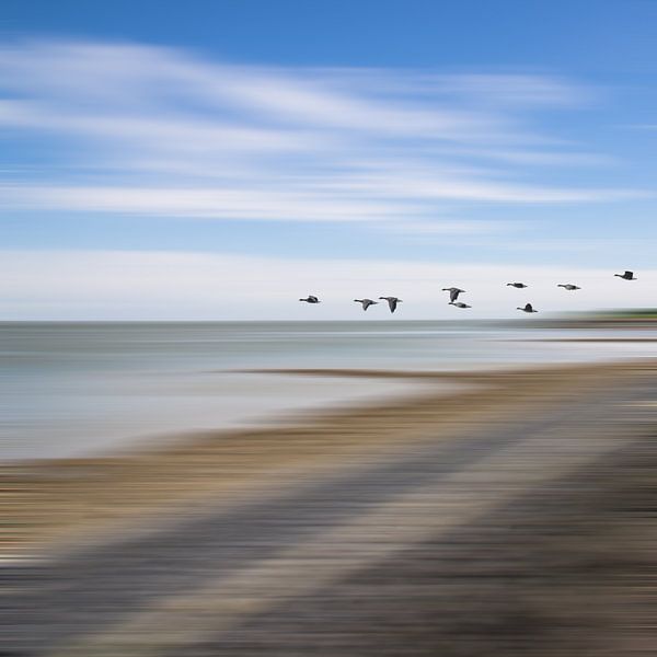 Dutch Zen by Kees van der Have