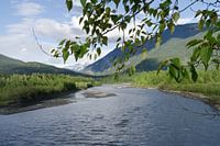 Paysage de Kelowna Canada
