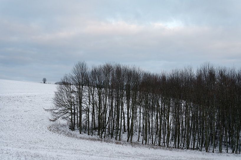 Winter evening in the Osterzgebirge by Ralf Lehmann