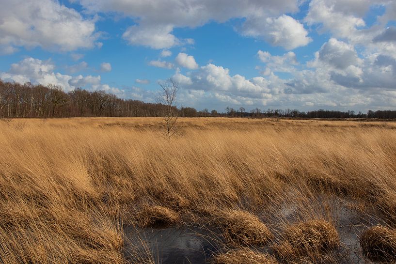 Nuages par Johan Mooibroek