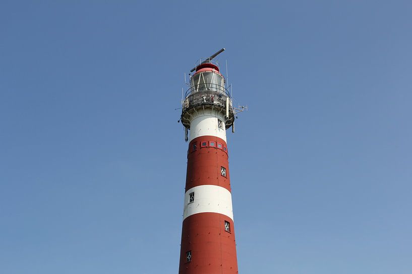 Bornrif by Sander de Jong