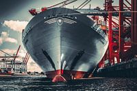 Hamburg - Containerriese am Terminal