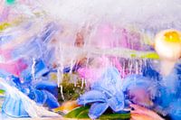 Bloemen en planten gefotografeerd in ijs.