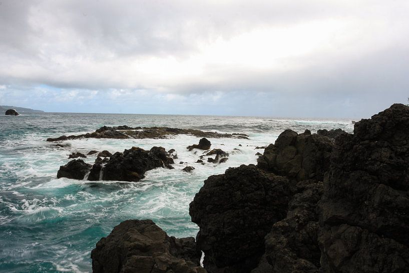 Le littoral de Maui par Louise Poortvliet