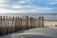 Strand van Noordwijk