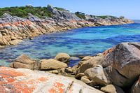 Bay of Fires on Tasmania