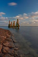 Défense en bois dans l'eau