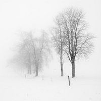 Der Weg nach Ballaison