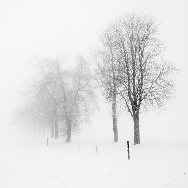 Der Weg nach Ballaison von Antoine Berger