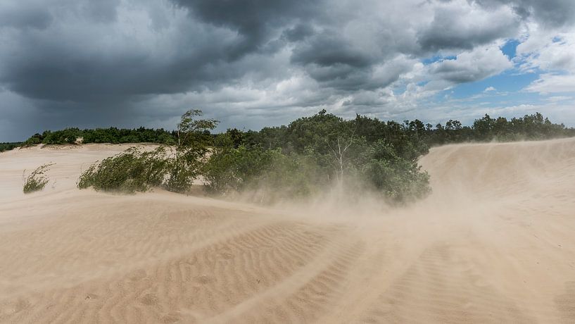 Tempête - Dunes de Loonse et Drunense par Laura Vink