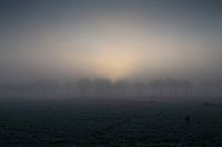 Just rising sun through the fog and trees