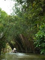 Mekong Delta