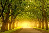 Dreampath to my Work