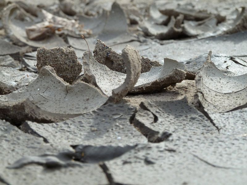 miniwoestijn by Lilian Huijben