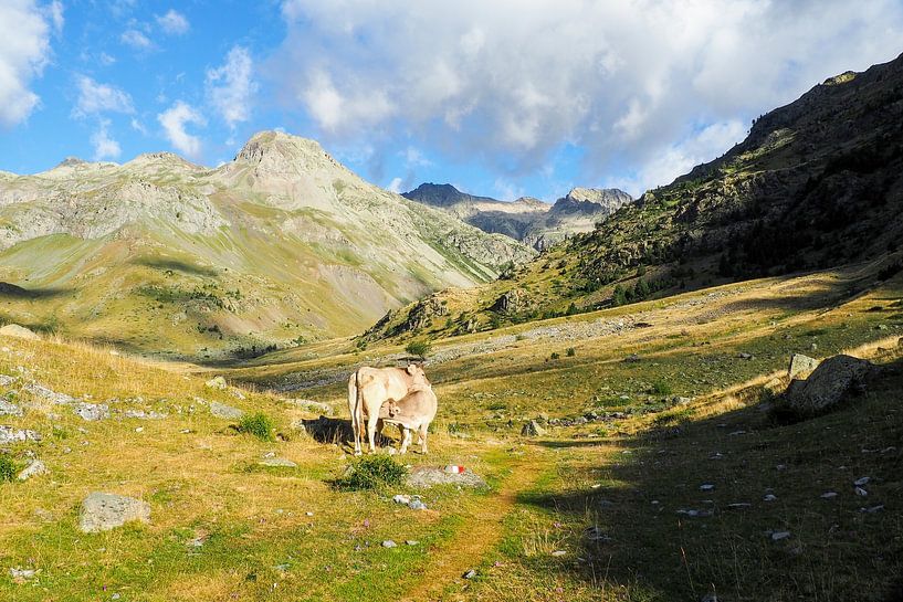 HRP &amp; GR11: wild Pyrenees, adventure and pure mountains. Buy impressive nature photography as a canvas or wall mural now - freedom on the trails of the Alpine paths. by Miriam Schwarzfischer Fotografie