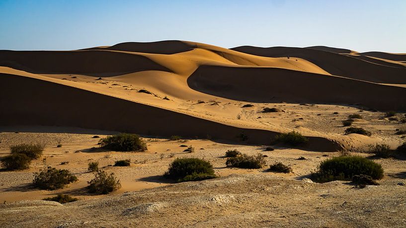 Vagues de sable par Willemijn Wolthaus