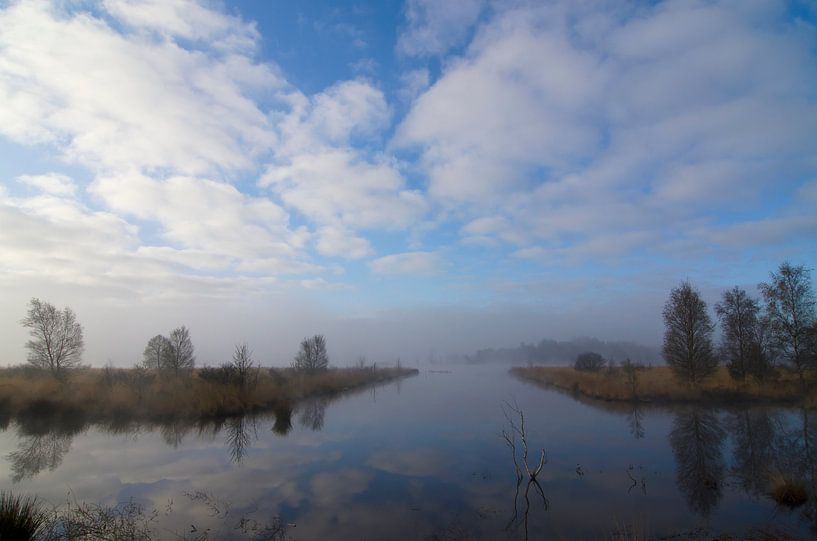 Fochteloërveen par René Vos