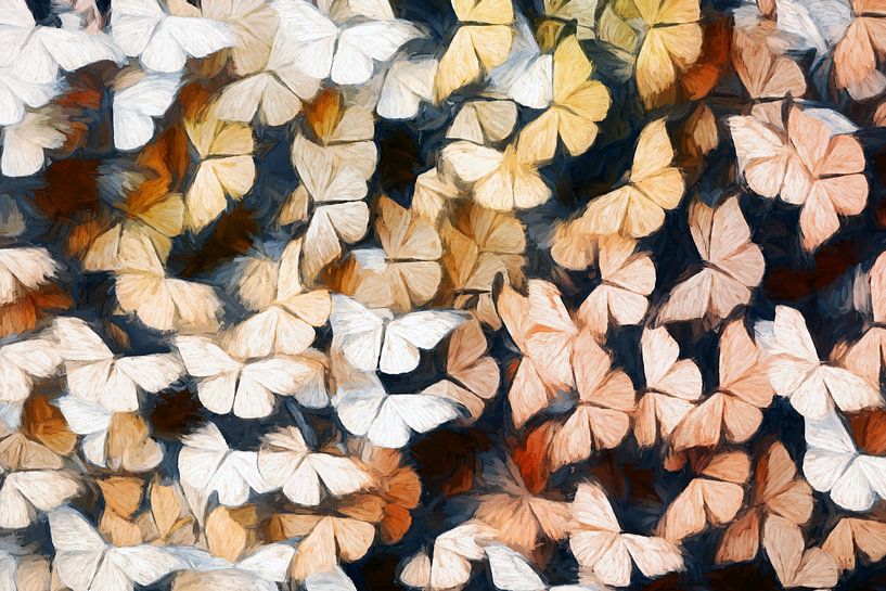 Der Schmetterlingseffekt von Jacky