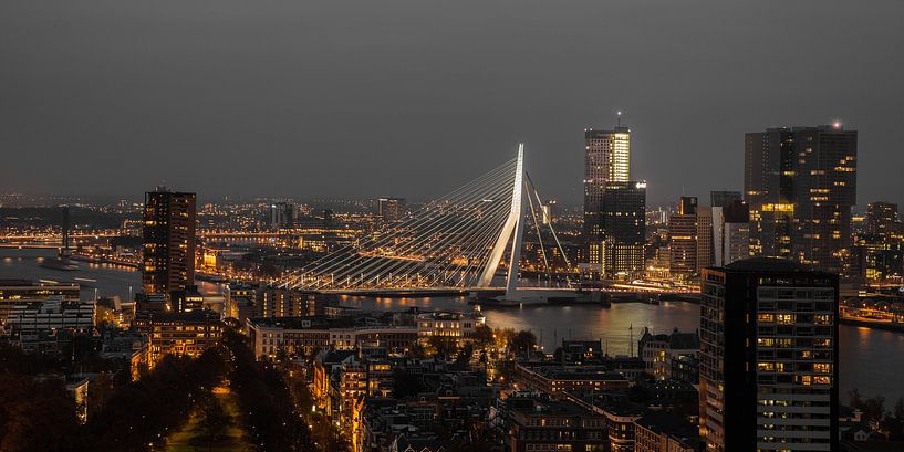 Rotterdam Erasmusbrug von John Ouwens
