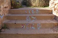 Schritt für Schritt in Farbe