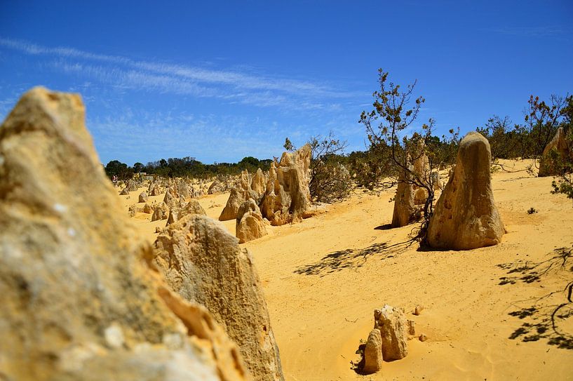 Une conduite d&#039;un autre monde par Frank's Awesome Travels