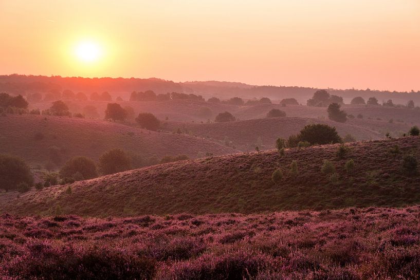 Posbank 9 von Nuance Beeld