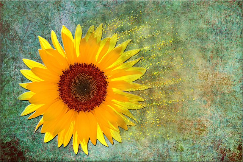 Sonnenblume ART 2.0 von Ingo Laue