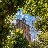 Blick auf die Grote oder Onze-Lieve-Vrouwenkerk, Dordrecht