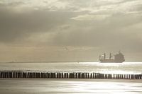 Schip op de monding van de Westerschelde
