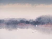 Pastel morning I