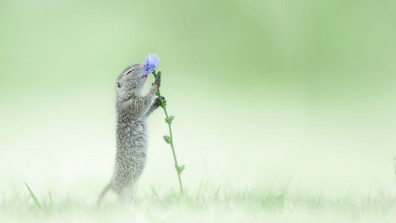 Carpe Diem von Alex Pansier