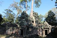Tomb Raider Ta Prohm