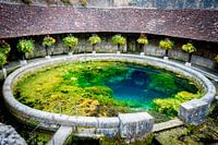 Fosse Dionne in Tonnerre