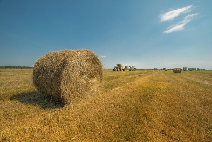 Rouleaux de foin - Balles de foin dans les champs par Moetwil en van Dijk - Fotografie