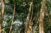 Photographie de voyage 