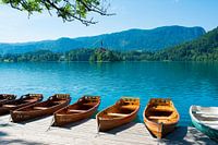Rowing boats at the lake of Bled