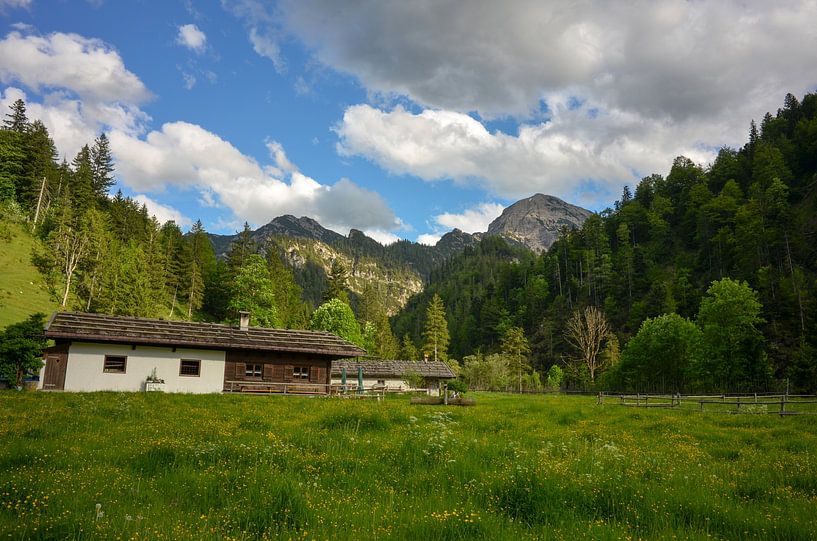 Almsommer im Chiemgau in den bayerischen Alpen von Christian Peters