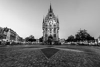 Town hall, Gouda. Black and white