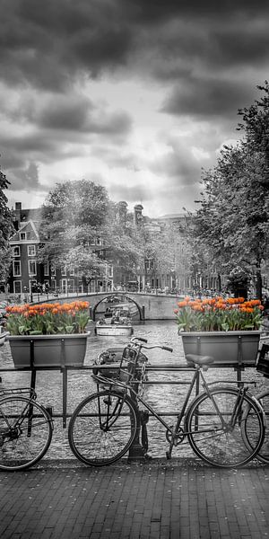 Typically Amsterdam by Melanie Viola