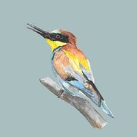 Bee-eater