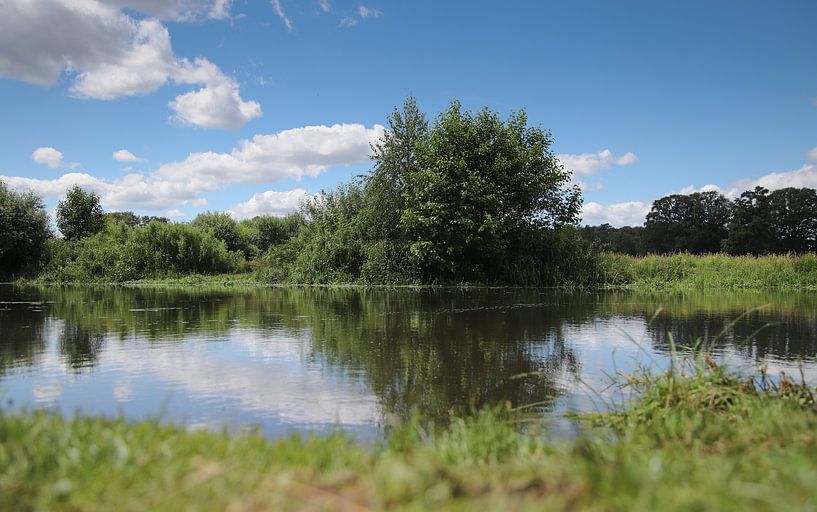 la nature en été par Fotografie John van der Veen