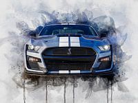 2022 Mustang Shelby Gt500 Heritage Edition 16