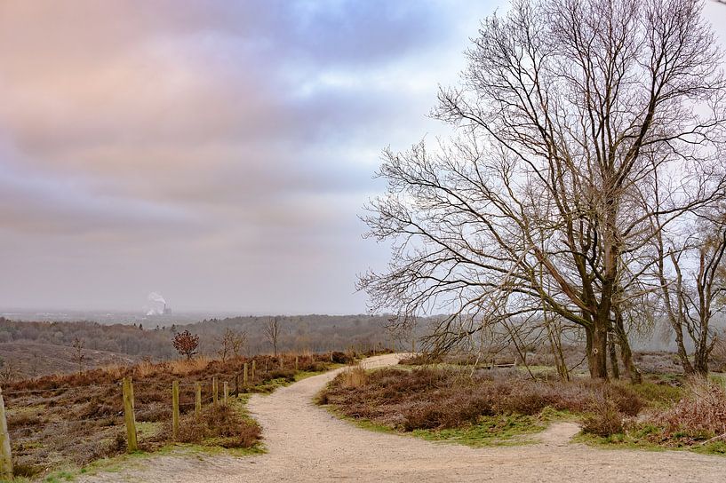 Posbank an einem bewölkten Morgen von Tania Perneel