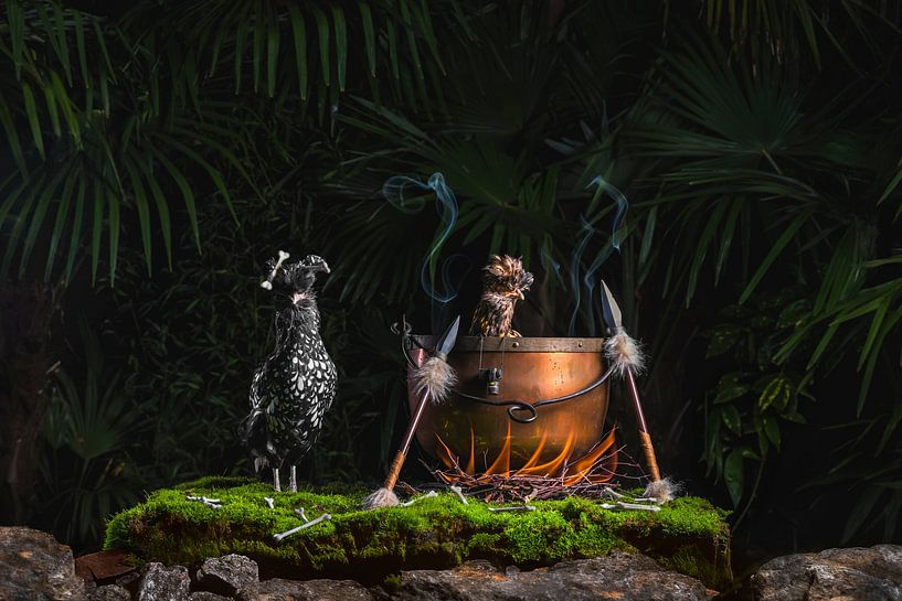 Der Kannibale und der Tourist von Corrine Ponsen