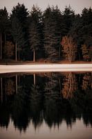 Réflexion des coureurs dans l'eau