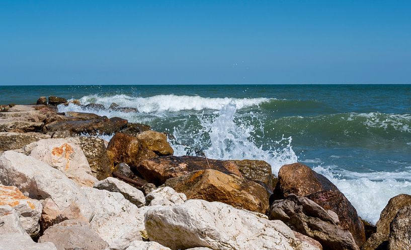 Rocher avec vagues sur une plage naturelle de la mer Adriatique en Italie par Animaflora PicsStock